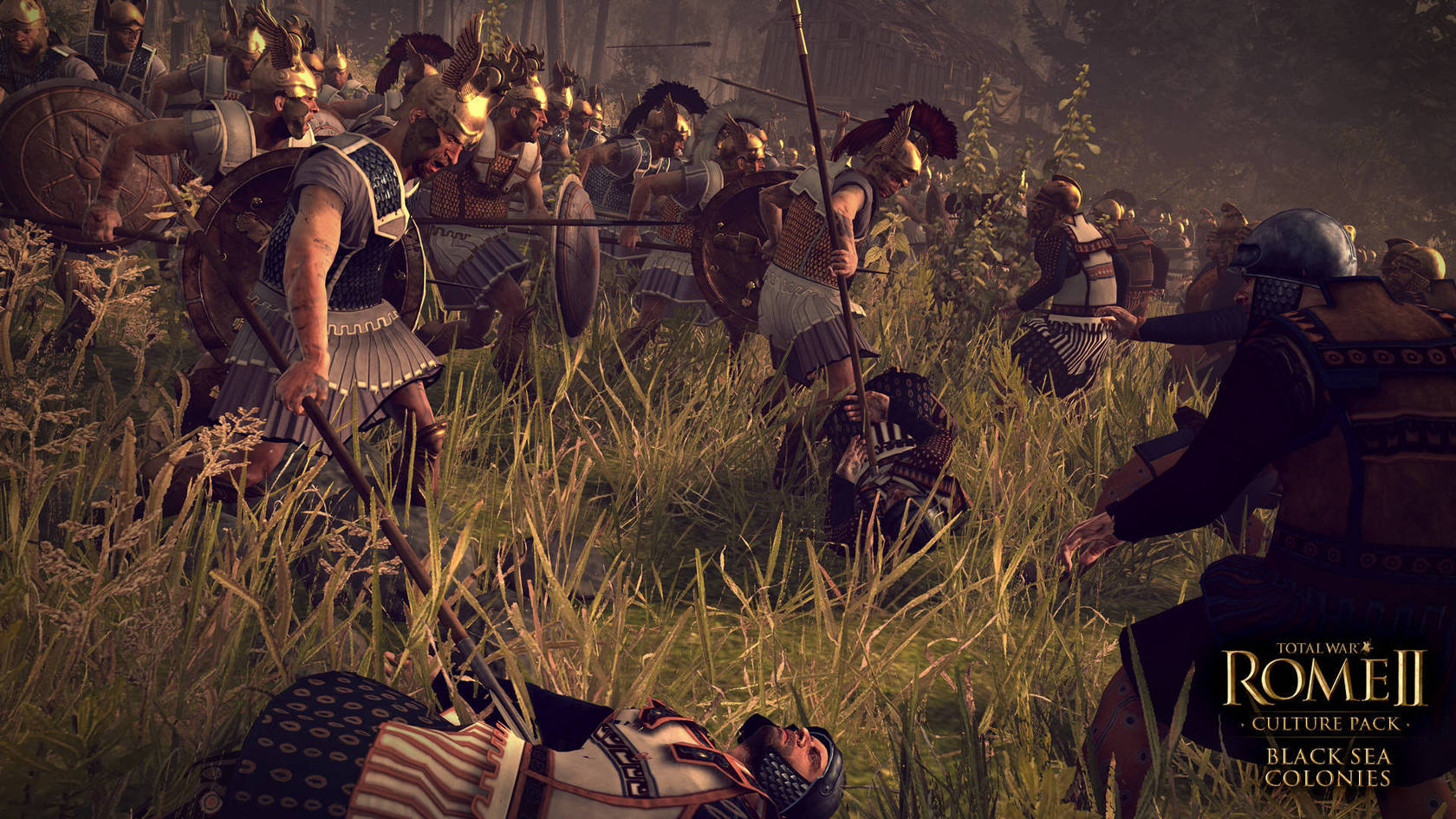 Total War: ROME II - Black Sea Colonies Culture Pack Download
